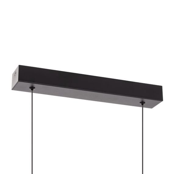 Подвесная люстра Citilux Glob CL209131