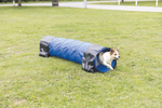 Тоннель для собаки Trixie Agility, размер 40х200см., синий