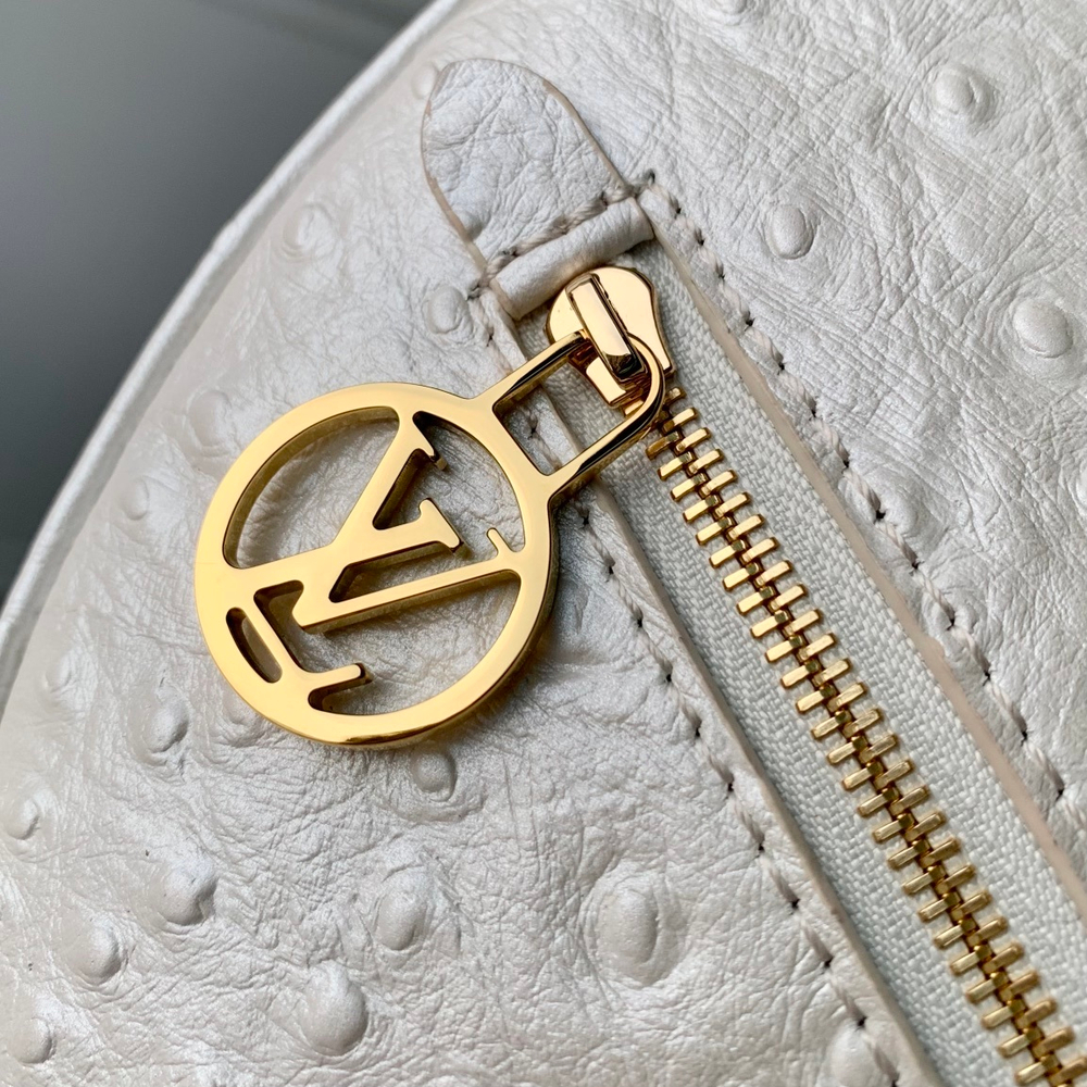 Louis Vuitton Loop