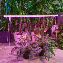 ULI-P57-30W-SPBR IP20 WHITE Светильник для растений светодиодный линейный. 1173мм. выкл. на корпусе. Пластик. Спектр для рассады и досвечивания в период роста. TM ФитоЛето