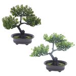 Цветочная композиция Бонсай, в ассортименте