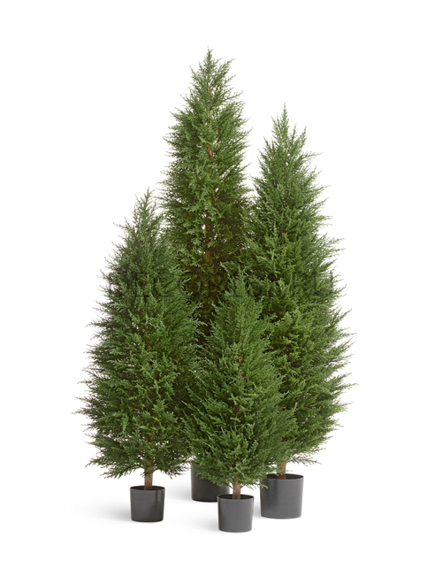 Кипарис Тауэр Элегант уличный новый в-150 см 2/2 10.56105N