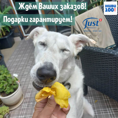 Акции и подарки от Живи100.рф