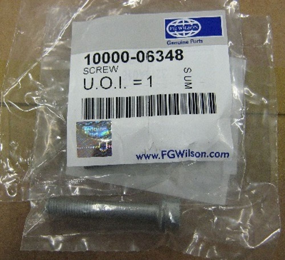 Болт крепления форсунки / SCREW АРТ: 10000-06348