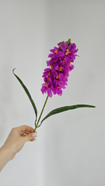 Гиацинт / Арт 2532