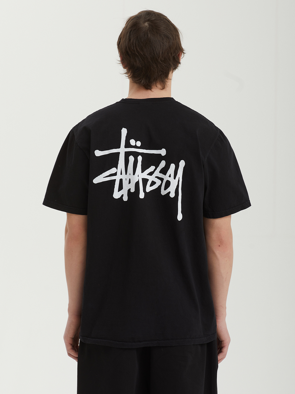Мужская Футболка Basic Stussy Pig. Dyed