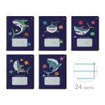 Тетрадь А5 24л. линия "Акула" (Альт) микс цветов (комплект 5 шт)
