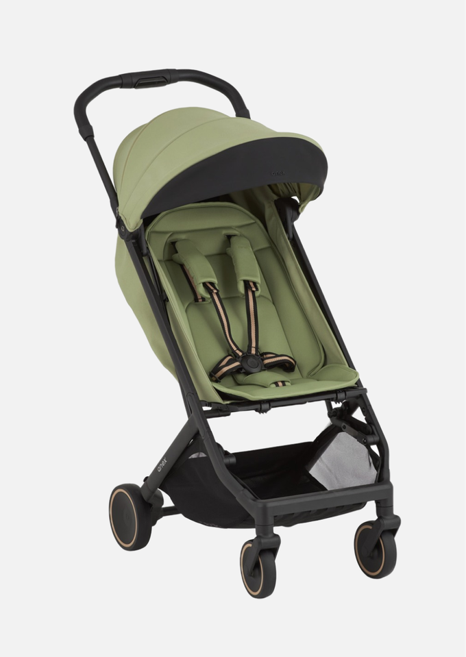 Anex Прогулочная коляска AIR-X2 Vert