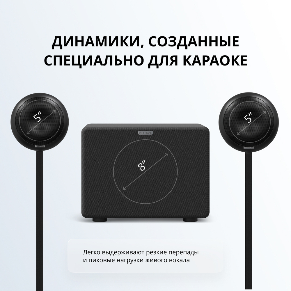 Аудиосистема для караоке EvoSound Sphere