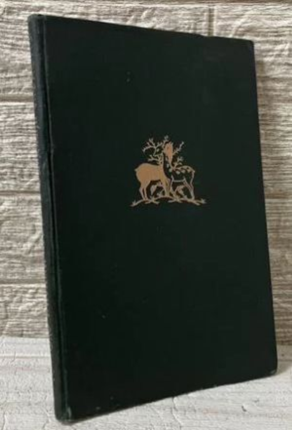 Лейли и Меджнун