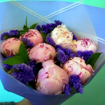 Букет 7 пионов Сара Бернар со статицей