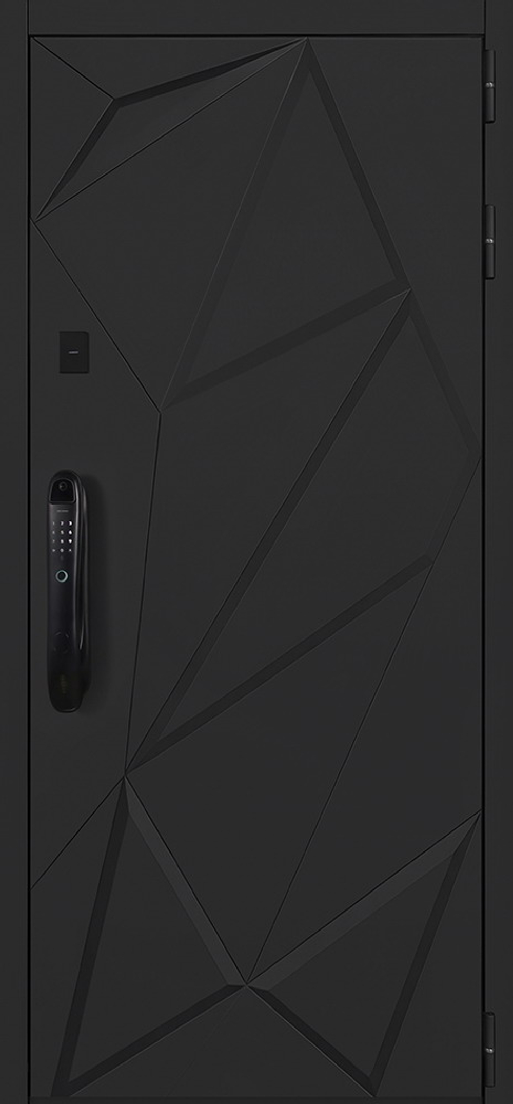 Стальная дверь "Амстердам" (биометрический замок DZ 888). Заказная модель.