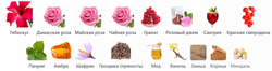 Strangers Parfumerie Rosa Raimunda