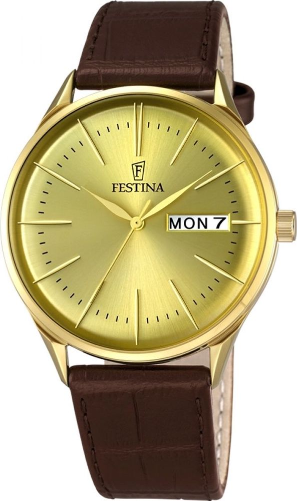 Мужские наручные часы Festina F6838/2