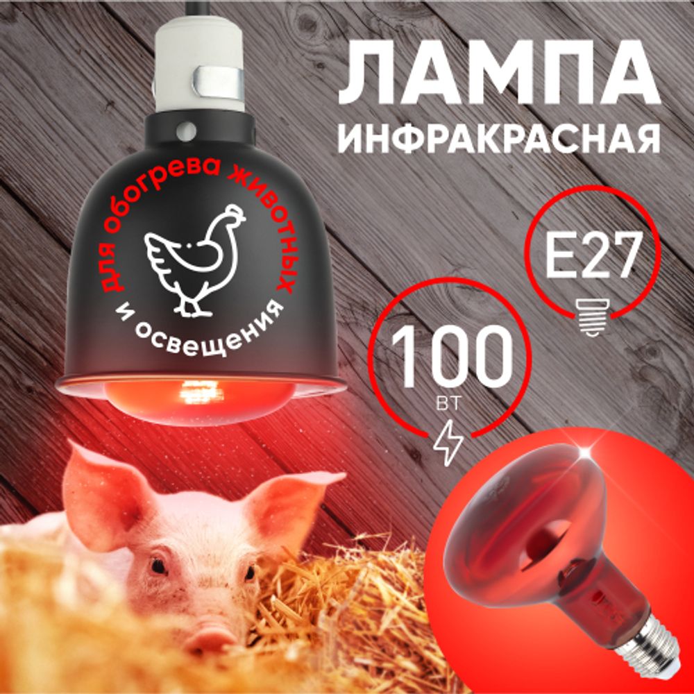 Инфракрасная лампа ЭРА ИКЗК 230-100 R95 для обогрева животных и освещения 100 Вт Е27 | Инфракрасные лампы