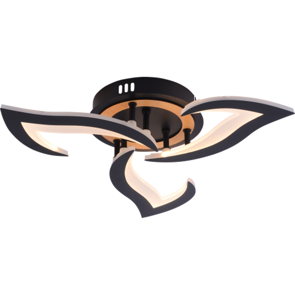 Светильник потолочный светодиодный Rivoli Cassandra 6194-703 LED 3000-6250К 42 Вт с пультом | Rivoli