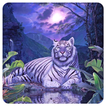 Руны Белого Тигра