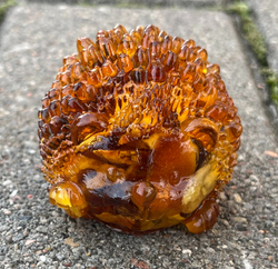 Ёжик улыбается