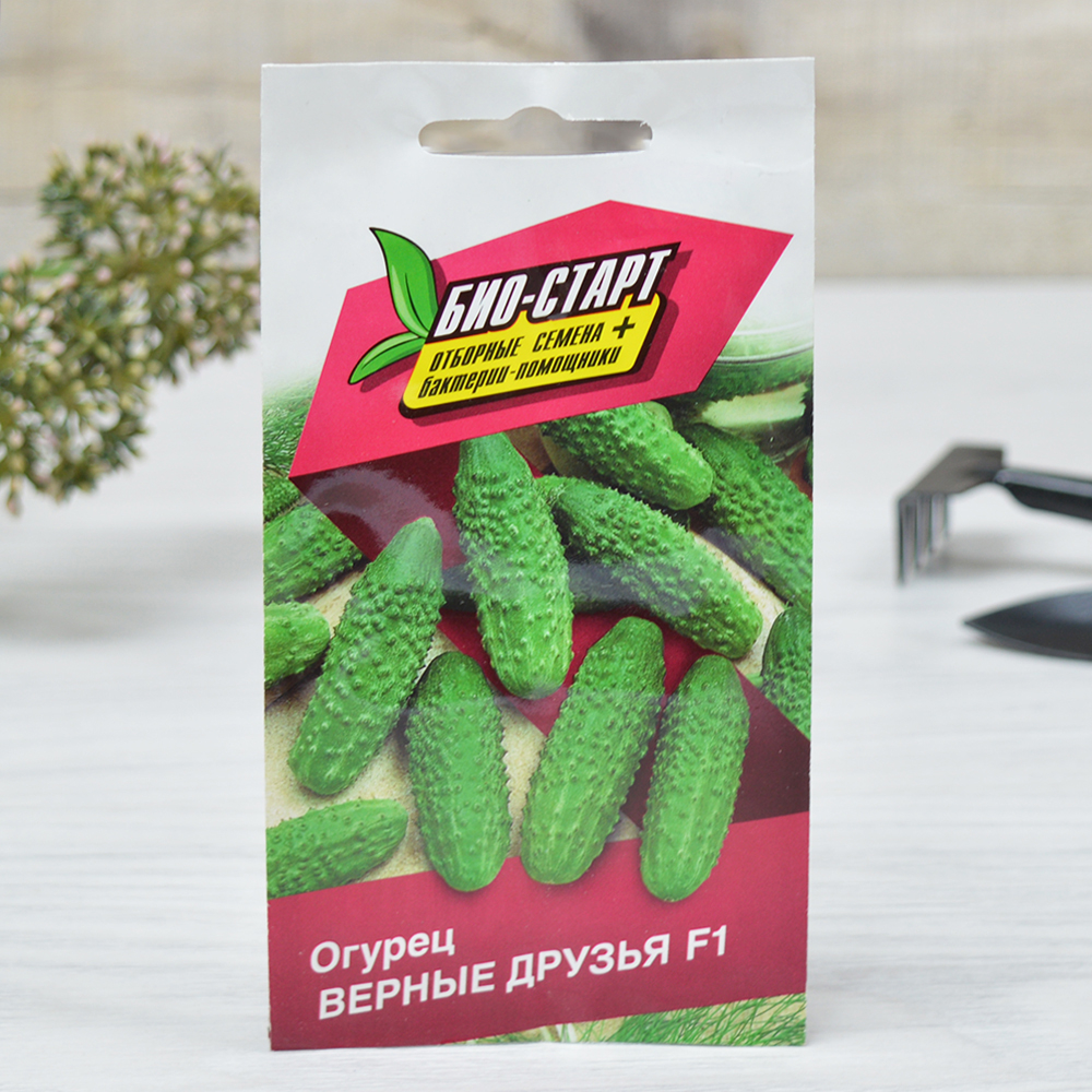 ОГУРЕЦ Верные друзья F1, для засолки (0,25г) скороспелый Цв.пак. (10шт)