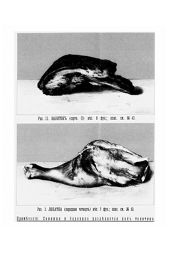 Скоромный и постный стол. Самая полная хозяйственная книга для приготовления 2800 блюд | Павловская О.