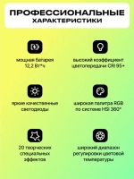 Осветитель светодиодный Raylab RL-LED06-S 2500-9000K 2000mAh