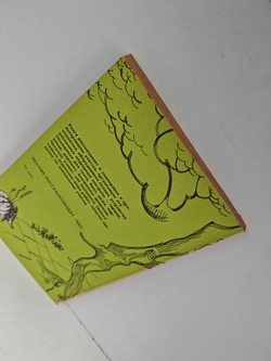 Благоустройство приусадебных участков