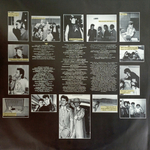 Paul Young / The Secret Of Association (LP)