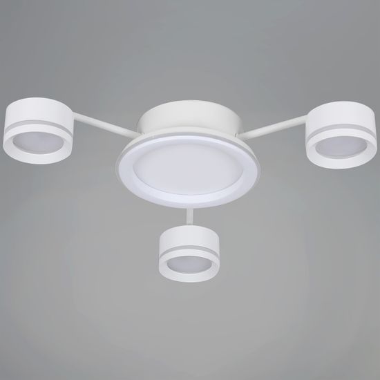 20590-0.3-3+1 White светильник потолочный