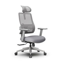 Эргономичное компьютерное кресло FoxGear NETZ One, DGGY, серый (FG-NETZ-ONE-DGGY)