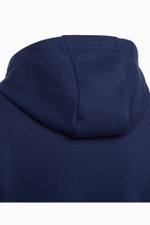 Кофта adidas Entrada 22 Hoodie Junior