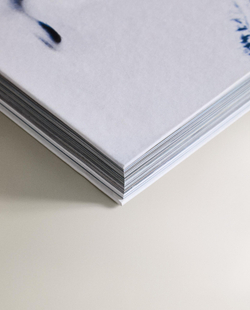 Jil Sander. Монография о дизайнере и бренде (на английском языке)
