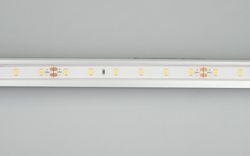 Лента светодиодная Arlight RTW герметичная 034159
