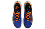 Кроссовки Nike Pegasus Trail 2 Zoom Gore-Tex