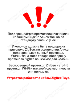 Умная розетка ZigBee 16А с Алисой