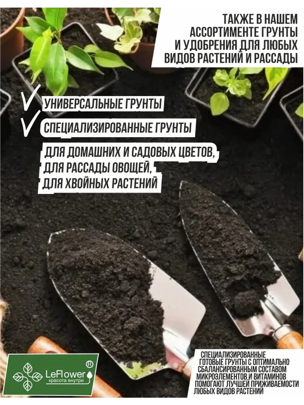 Луковичный цветок калла, 2 шт. Голландия