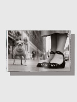 Книга Elliott Erwitt's Dogs mini (teNeues)