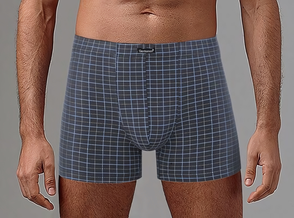 Клетчатые мужские боксеры (Размер: XL) (Цвет: черный)