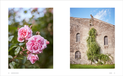 Roses in the Garden