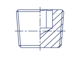 Заглушка (Ш) NPT 1