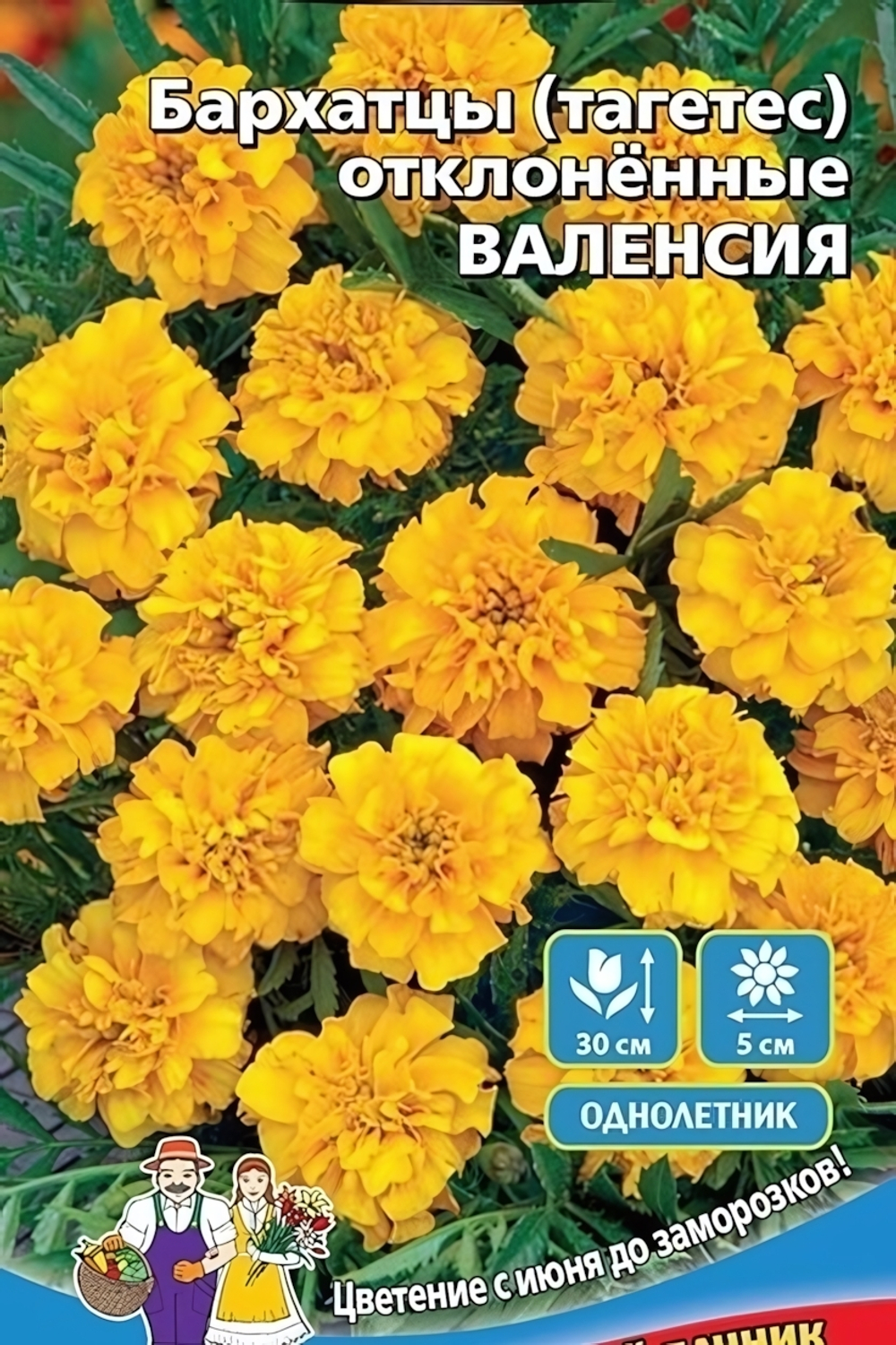Семена Бархатцы Валенсия 0,2гр (УД) Е/П
