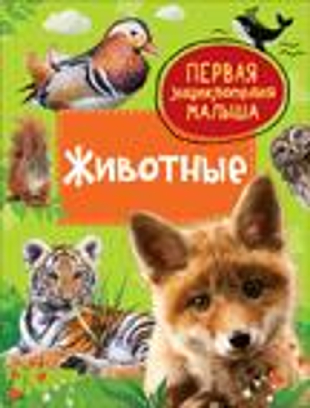 Животные. Первая энциклопедия малыша