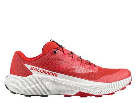 Кроссовки для бега мужские Salomon Pulsar M Красно-Ванильные