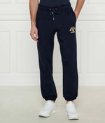 Спортивные штаны Guess Jeans - темно-синий(M5RB52 KCPR1)