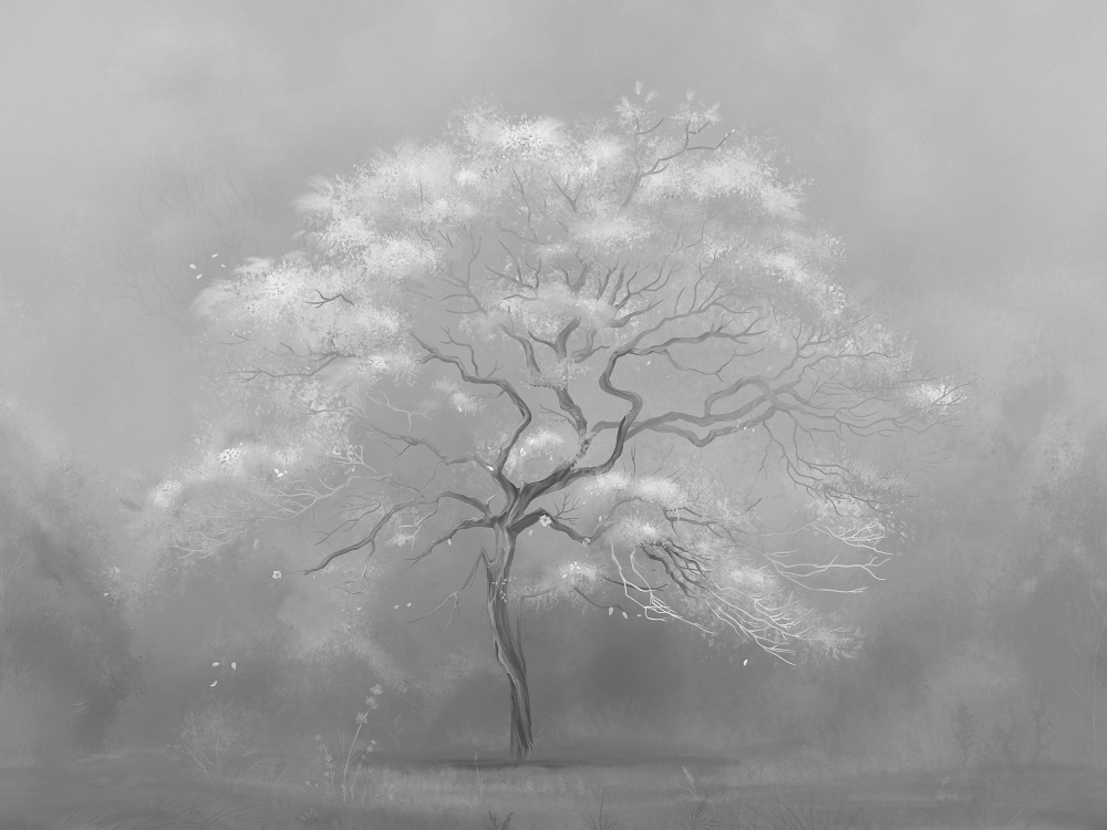 Коллекция Vento