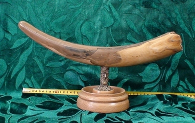 Бивень мамонта "Стойкий"