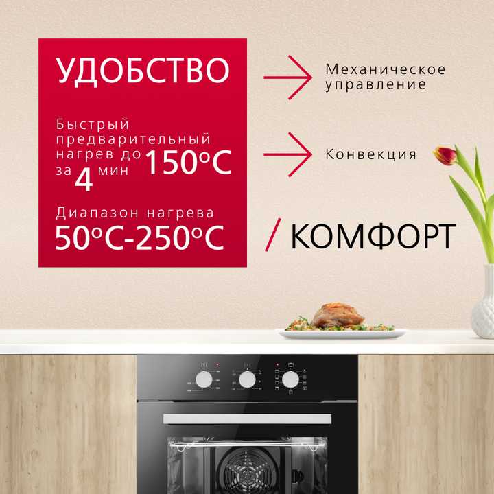 Духовой шкаф Hansa BOES68161