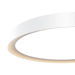 Потолочный светильник Maytoni MOD426CL-L43WK