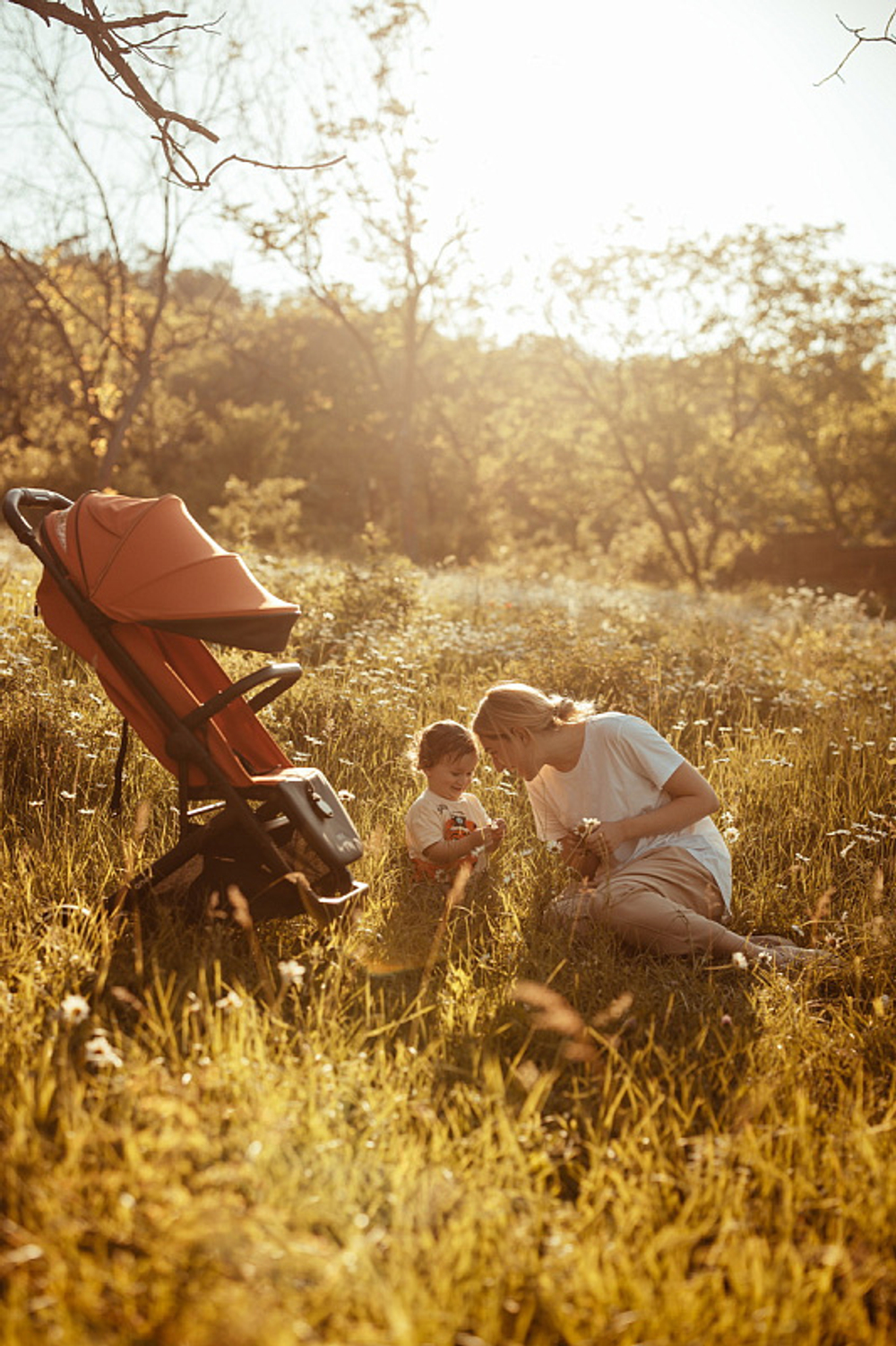 Детская прогулочная коляска Anex AIR-X Ax-01 terracotta