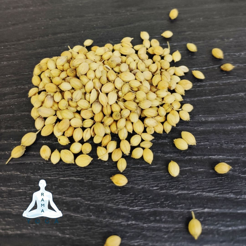 Кориандр зерно Золото Индии