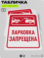 Табличка для парковки "Парковка запрещена", для дома, офиса, организаций, 40х30 см, Silver Plane x Айдентика Технолоджи